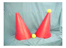 Driving Cones